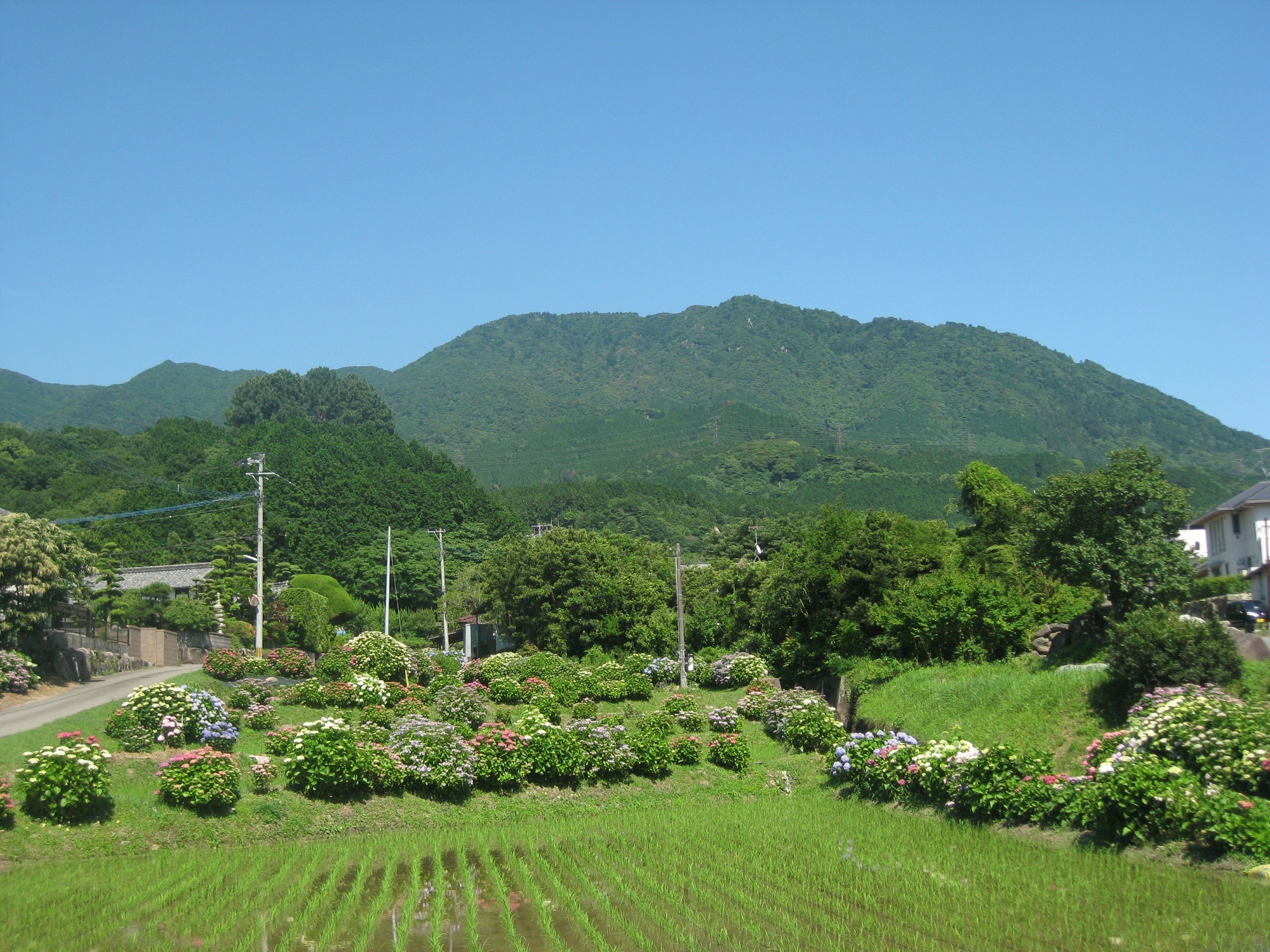 331-自治会